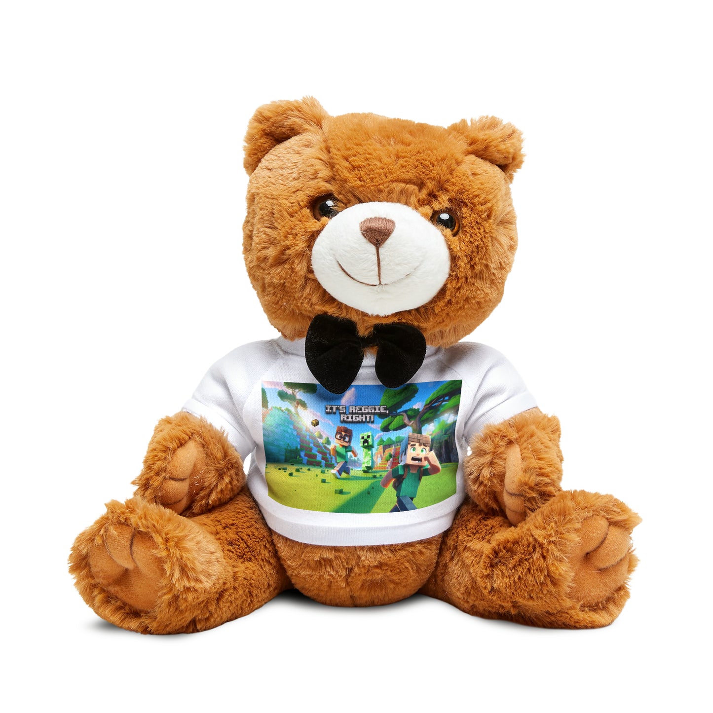 Teddy Bear with T-Shirt
