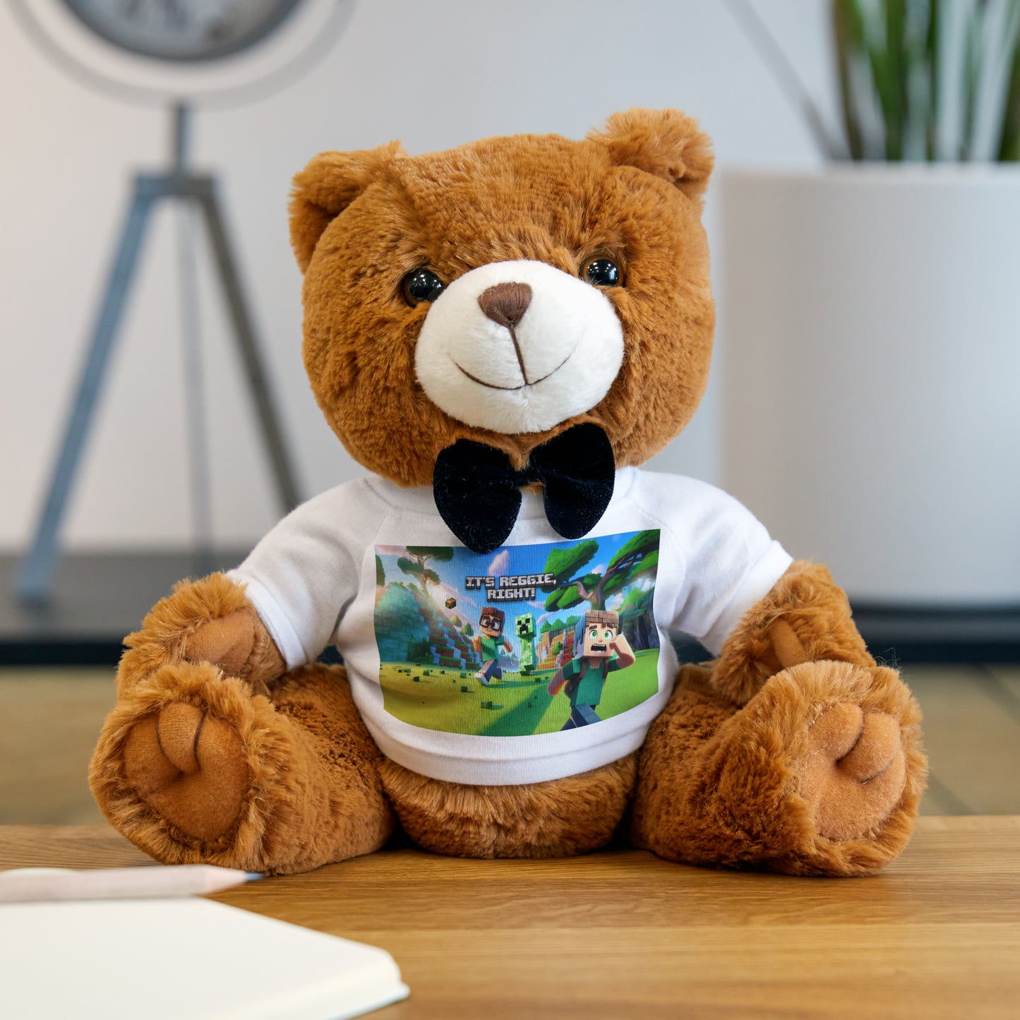 Teddy Bear with T-Shirt